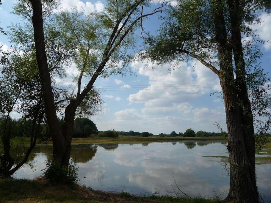 Le Prieure De Loups Bed and Breakfast Saint-Michel-en-Brenne Εξωτερικό φωτογραφία